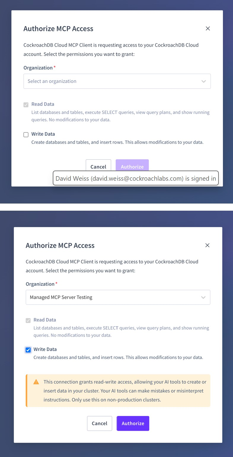 Authorizing MCP Access: Read and Write Consent